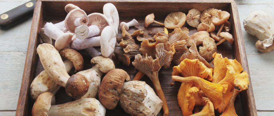 Champignons