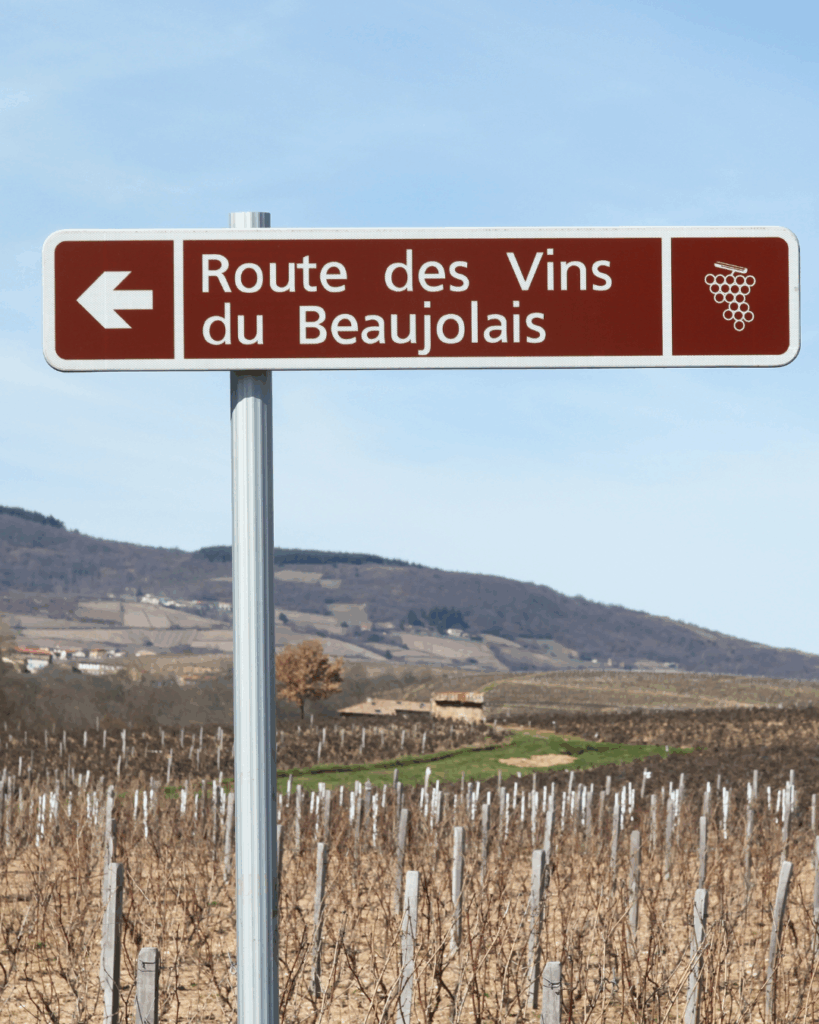 Le Beaujolais vs les vins bordelais