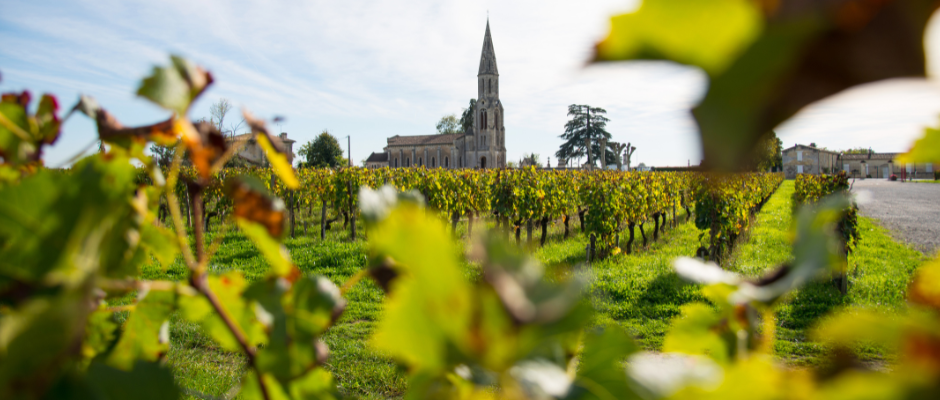 Que faire à Bordeaux ce week-end ? Découvrez les journées portes ouvertes de Pomerol