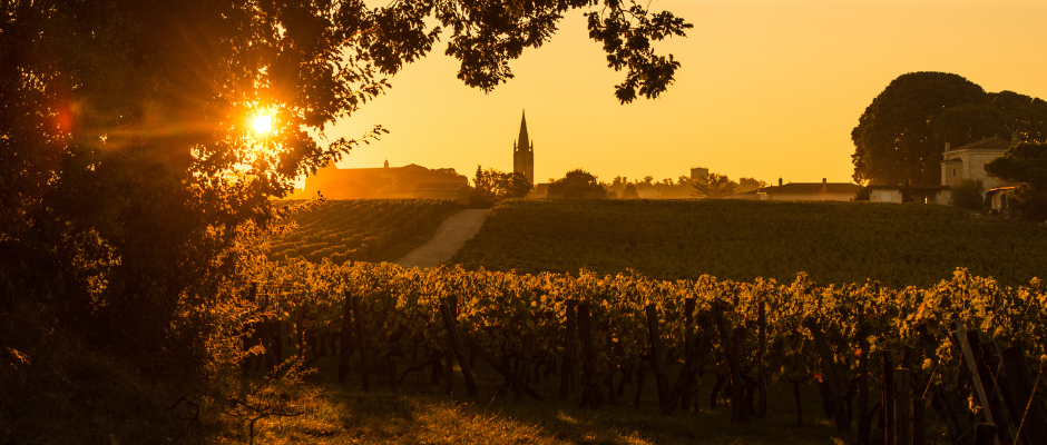 Le Beaujolais vs les vins bordelais : quelles différences ?