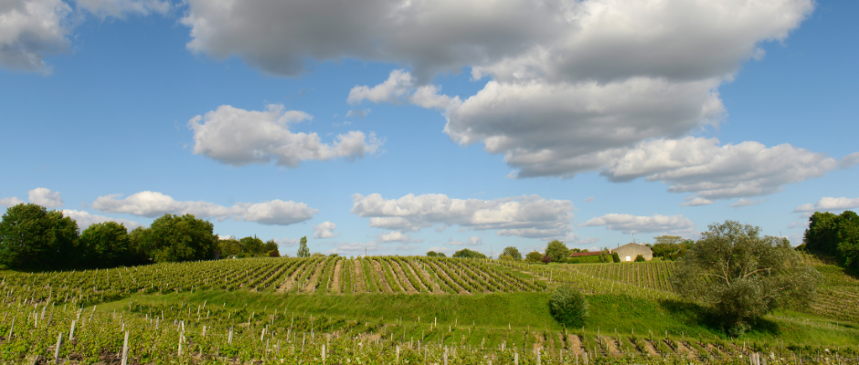 Que faire à Bordeaux ce week-end ? Loupiac et Foie Gras : Les Journées Gourmandes arrivent les 29 et 30 novembre 2025