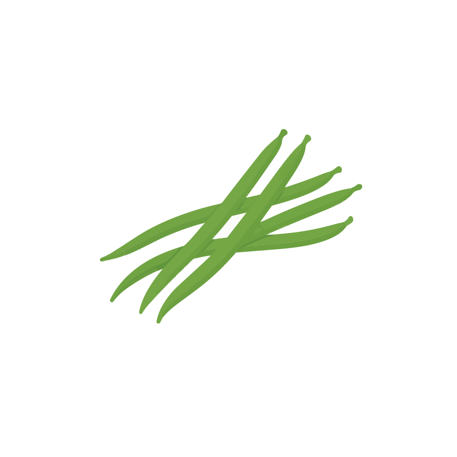 haricots verts