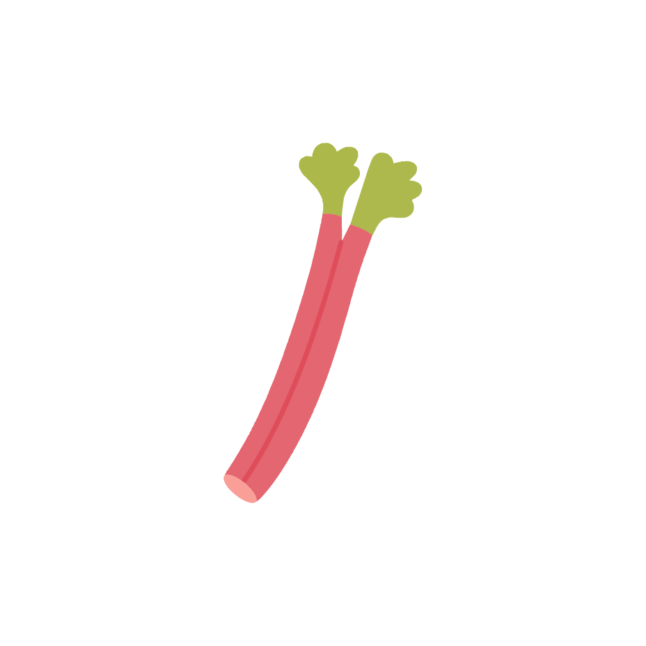 rhubarbe 